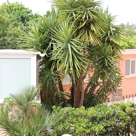 Eden Park 4*